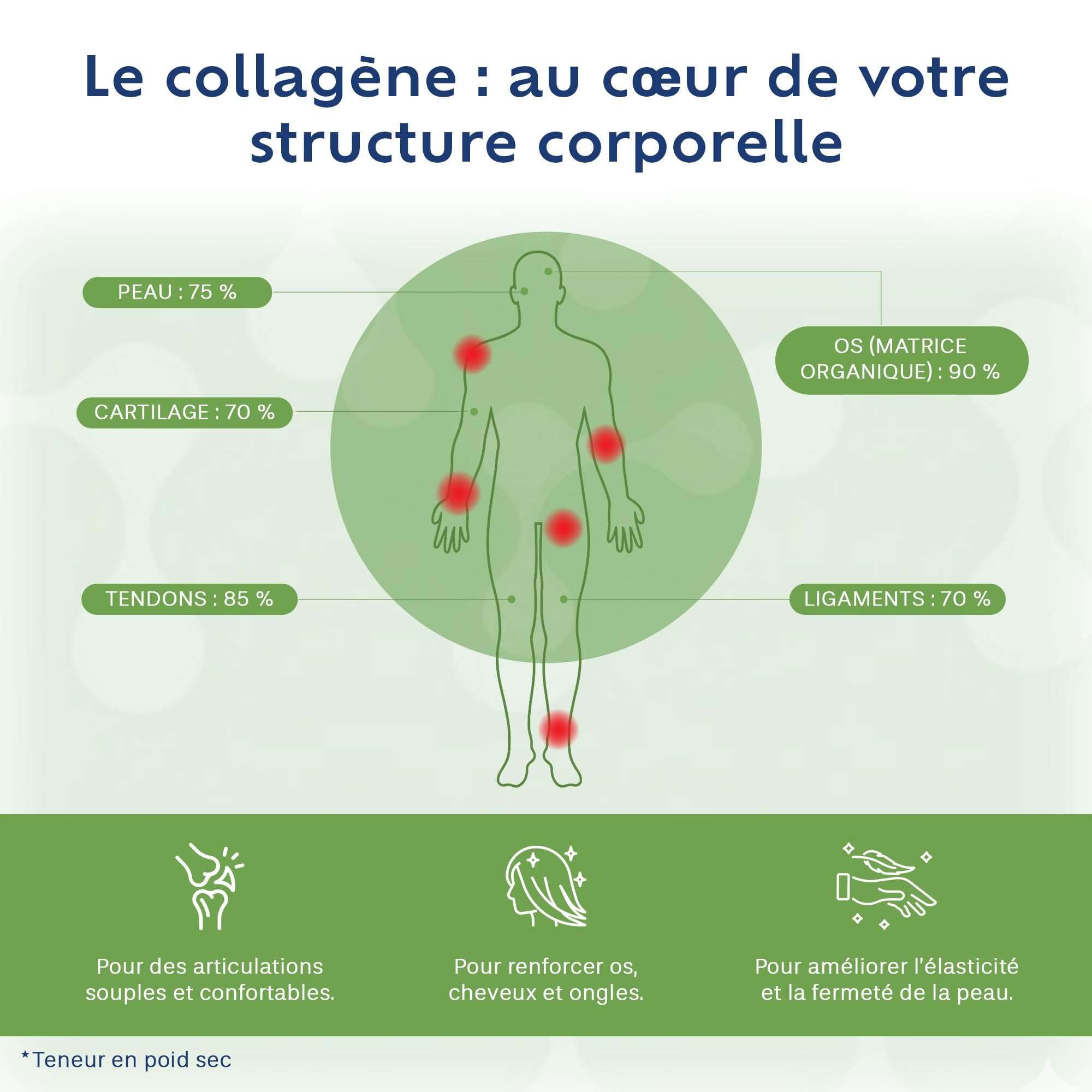 Collagène Poudre + Acide Hyaluronique - Récupération Active - Articulations | Colpropur Active, saveur neutre, 30 doses 10 g, collagène type I et II, magnésium, vitamine C, acide hyaluronique, sans sucre