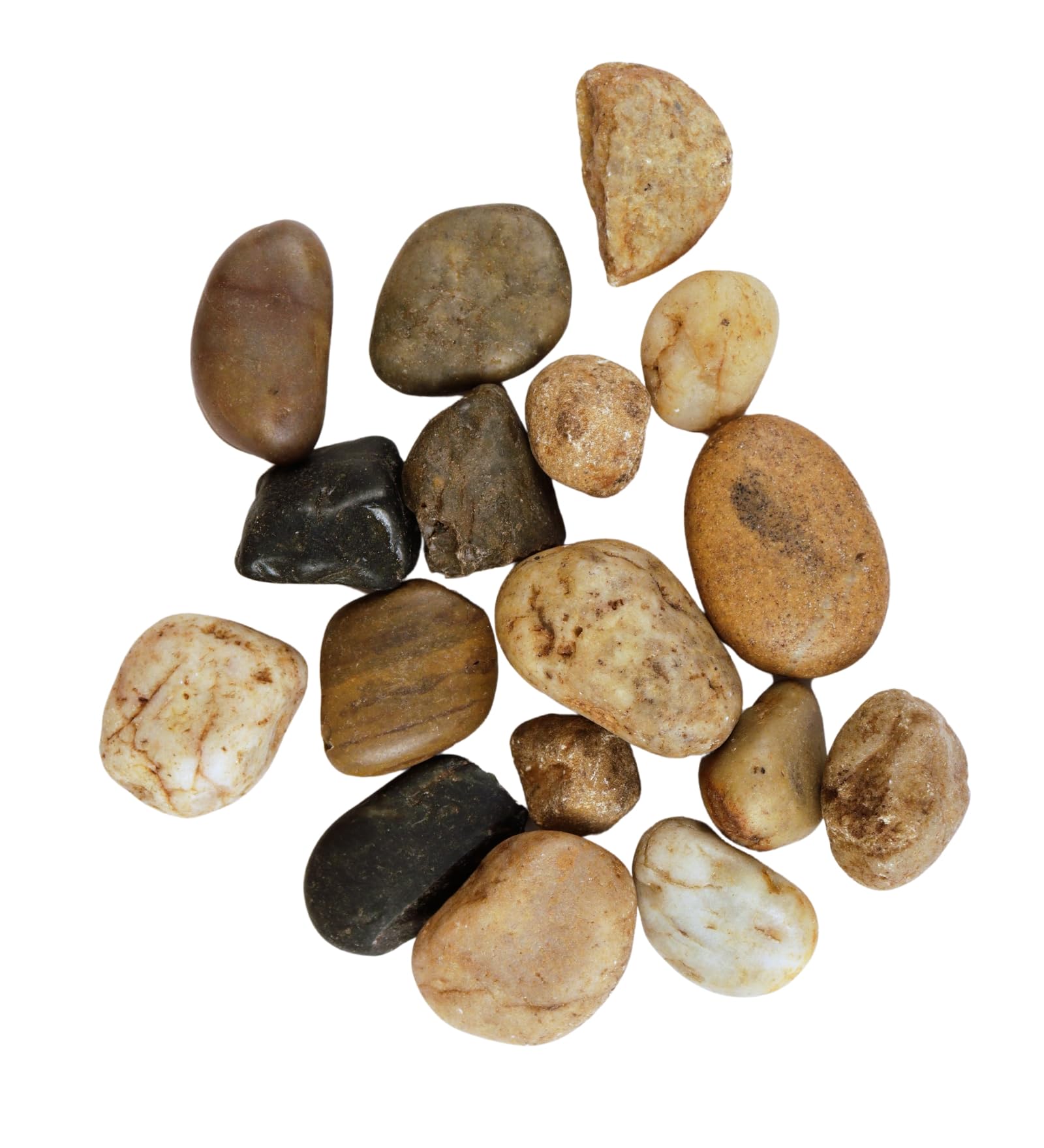 Premsons® Decorative Pebbles Multicolour Stones - For Aquariums Garden Lawn Plant Pots Vases Filler Home Office Decor Fish Tank Art Craft - Smooth Stones - Large Size 2.5-4 cm - 1kg Pack-image-44