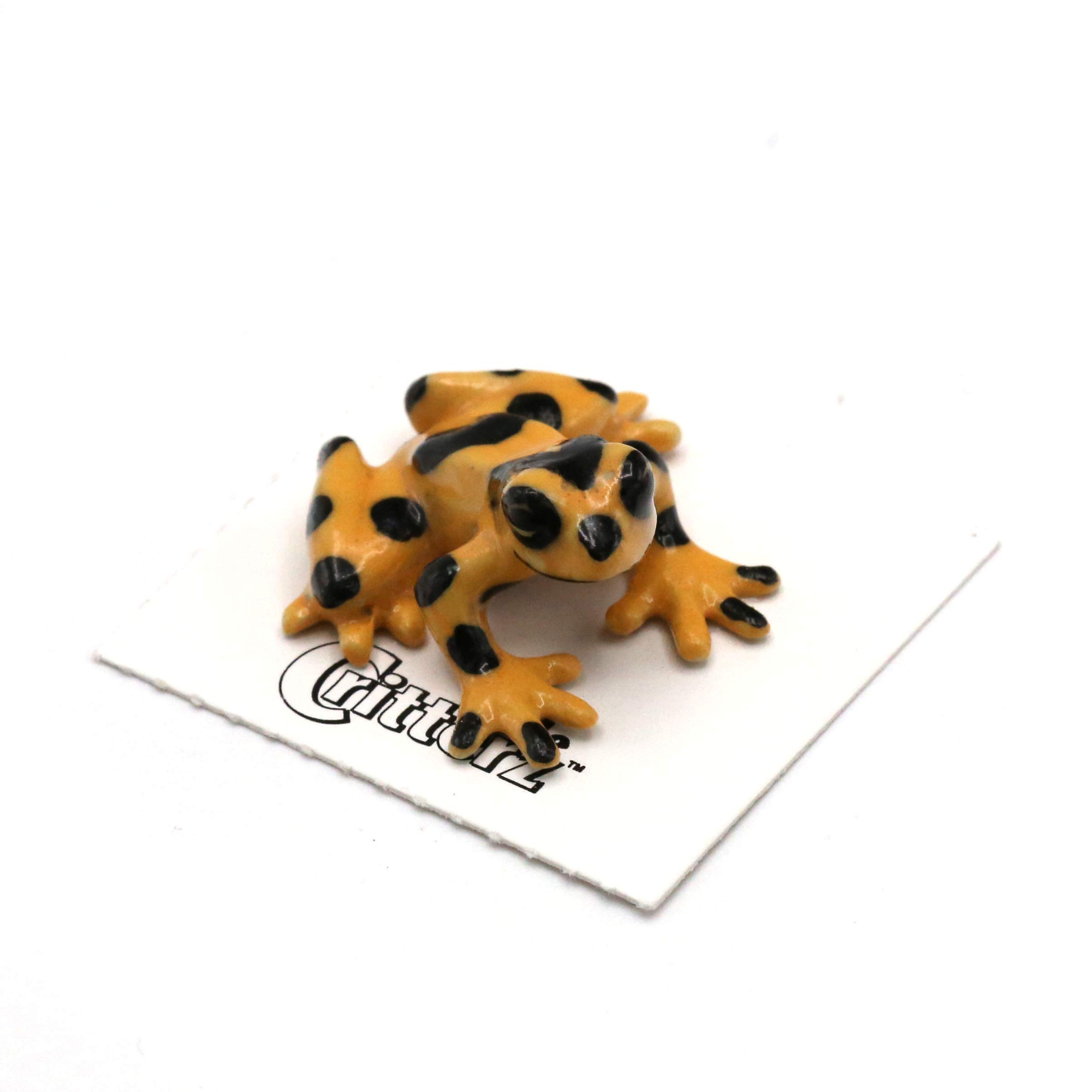Amazon.com: Little Critterz Panamanian Golden Frog Zeteki Figurine