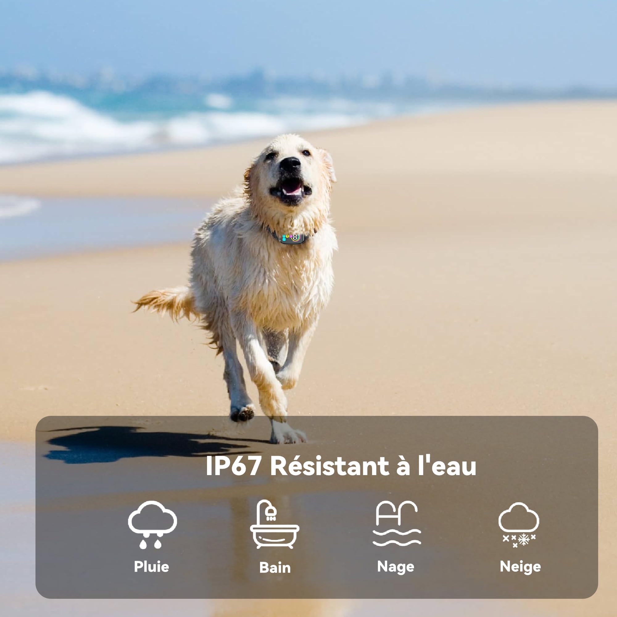 Meloive Collier Anti Aboiement Chien, Détection Intelligente des Aboiements, 4 Modes Vibration/Choc Statique/Son, 8 Niveau d'intensité, Rechargeable pour Gros Petit Chiens