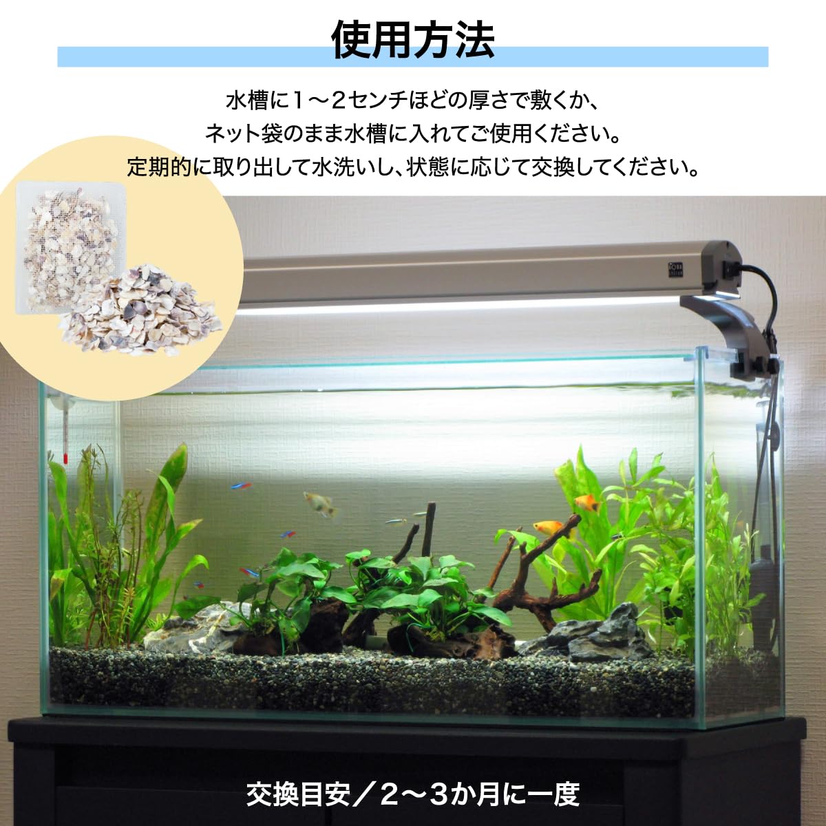 Amazon.co.jp: アクアシェルチップ 650g 牡蠣殻 アクアリウム 水槽