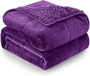 Cottonblue Weighted Blanket 15 lbs Queen Size, Flannel Shaggy Sherpa Weighted Blanket for Adults Comfortable Weighted Blankets for Calming and Relax, Bed Sofa Heavy Blankets, 60x80 inches, Purple