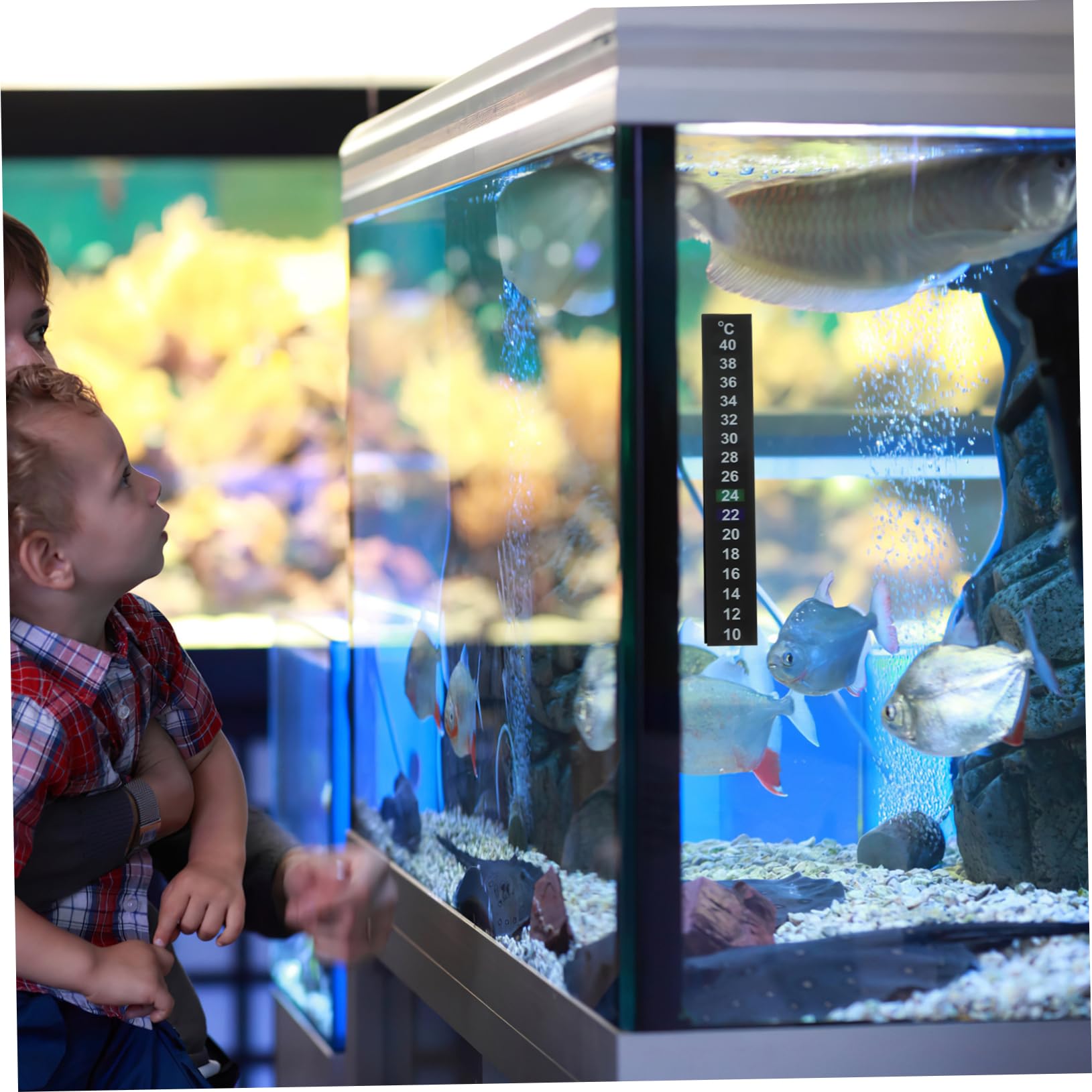 Housoutil 150 Pièces coller sur bande de cristal liquide thermomètre digital aquarium thermomètre intérieur barrette spéciale liquide Crystal autocollant suite