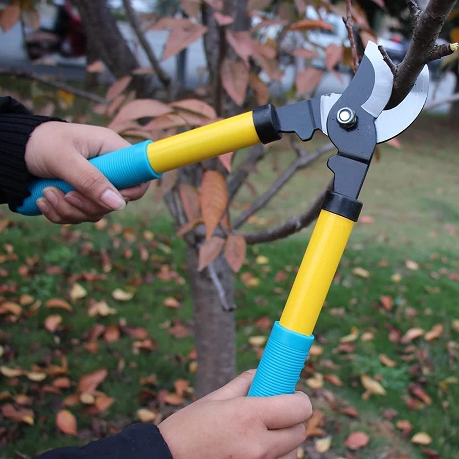 Gartenschere Anti-Rutsch-Astgarten-Astschere Edelstahl-Schneidwerkzeug-Set Haushalt Garten Bonsai-Werkzeuge Clippers für den Garten Tragbar/Blau / 32c (Blau 32cm)