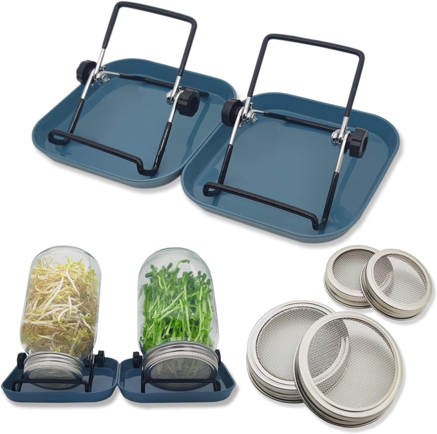 Guyemnat Sprouts Growing Kit, 4 PCS Stainless Steel