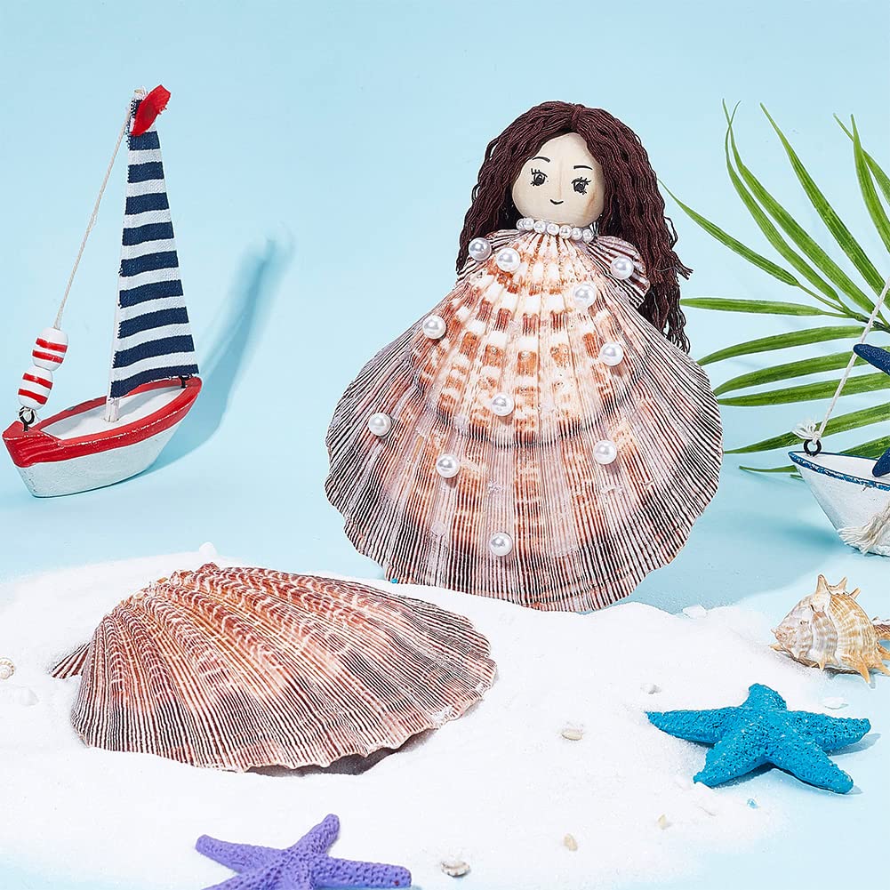 Amazon | PH PandaHall 貝殻セット 天然素材 2枚セット ホタテ 貝の