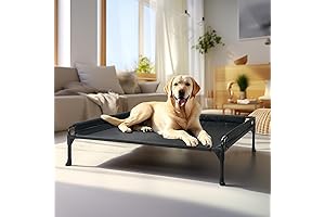 Veehoo Elevated Dog Platform Bed: Stay Cool and Comfortable in Any Season