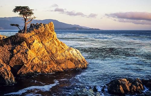 Posterazzi DPI1974652 California, Big Sur Coast, Pebble Beach, luz nocturna en árbol de ciprés solitario y impresión fotográfica de roca resistente,