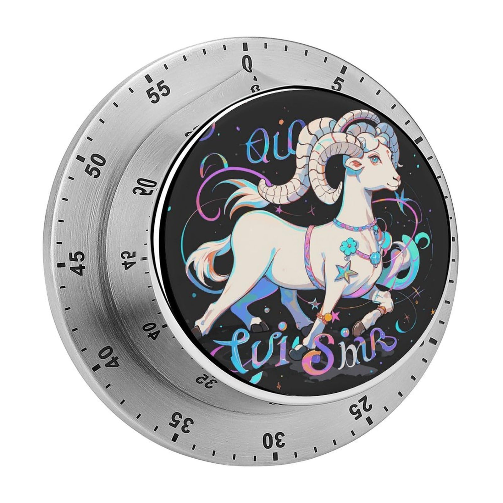 Aries Kitchen Timers Magnetic Back Manual Countdown Timers for Classroom Home Gym Tanning