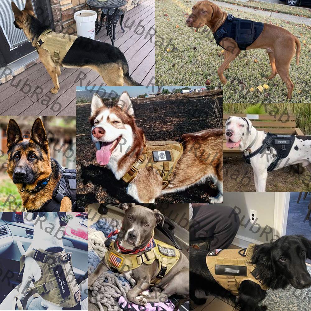 Pettorina tattico per cani con manico militare per addestramento di lavoro con fibbie in metallo e pannelli ad anello, guinzaglio per cani (M, verde imbracatura con guinzaglio)
