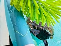 Review Image by M. W M. W