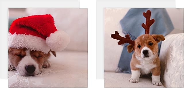 Hallmark Gallery Collection Charity Christmas Cards - Pack of 10 in 2 Cute Photographic Designs