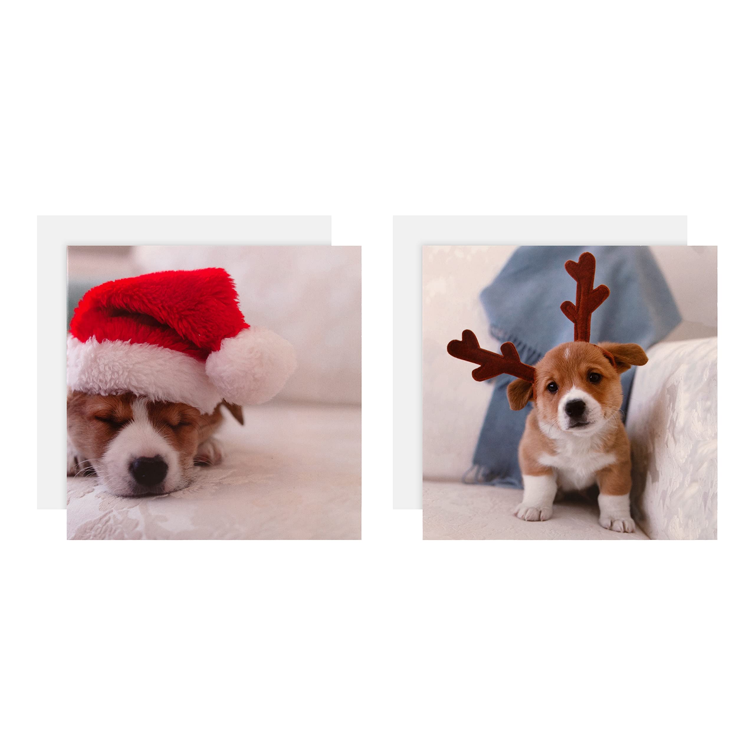 Hallmark Gallery Collection Charity Christmas Cards - Pack of 10 in 2 Cute Photographic Designs
