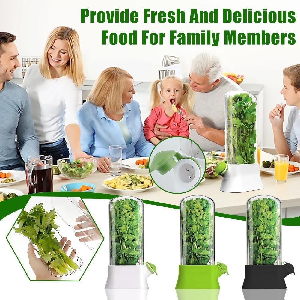 Contenitori per erbe fresche, contenitore per verdure ed erbe aromatiche, per coriandolo, prodotti freschi, frigoriferi, contenitori ermetici per alimenti, conservanti per erbe ecologiche