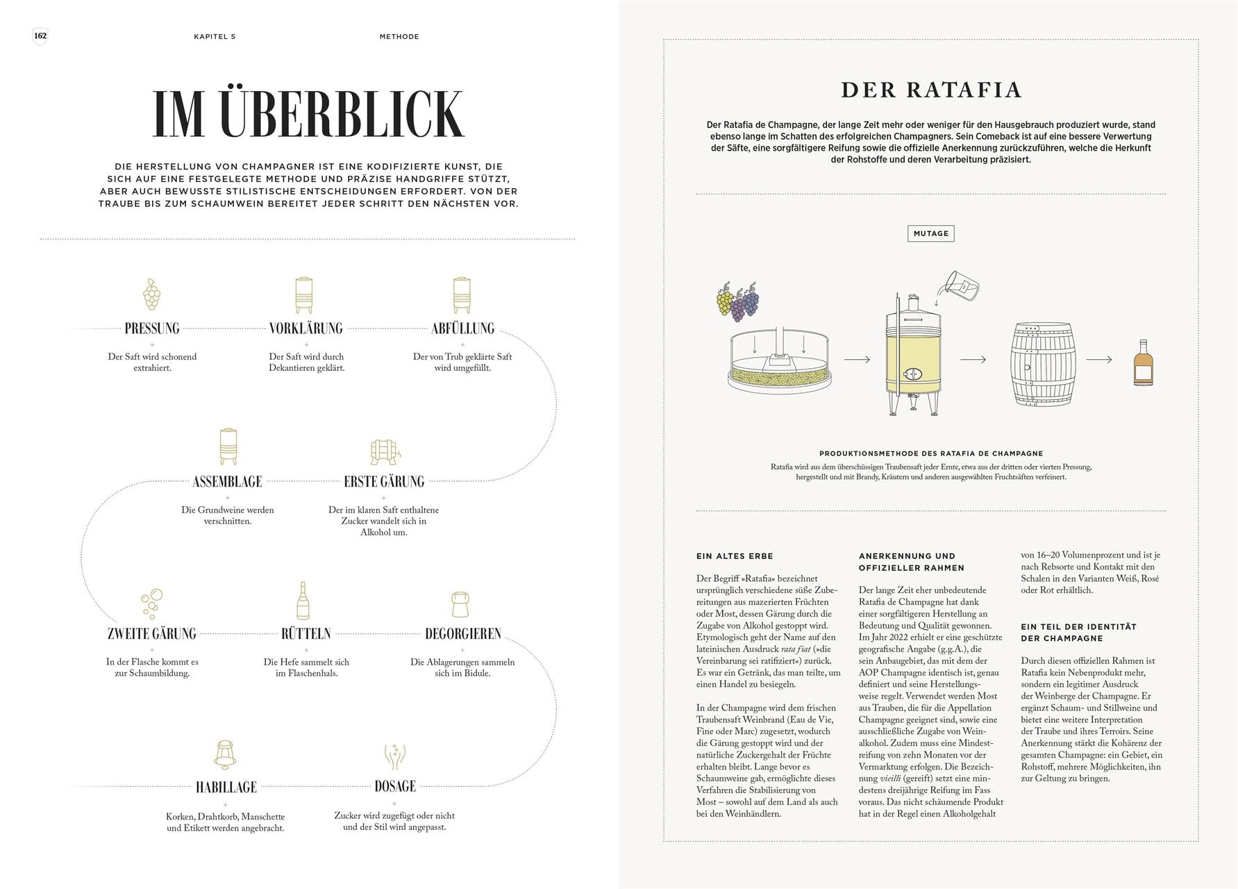 Champagner: Alles Wissenswerte über das edelste Getränk der Welt. Hochwertig ausgestattetes Champagner-Buch für Genussmenschen