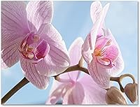 Vista 6 de Small World Greetings Tarjetas de notas de flores de orquídea, 24 unidades, interior en blanco con sobres blancos, tamaño A2 de 5.5 x 4.25 pulgadas