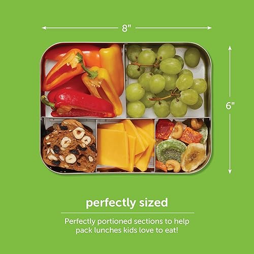 Miniatura 4 de Contenedor de comida con 5 secciones LunchBots Bento, de acero inoxidable, grande, para niños y adultos., Azul (Blue Dogs)