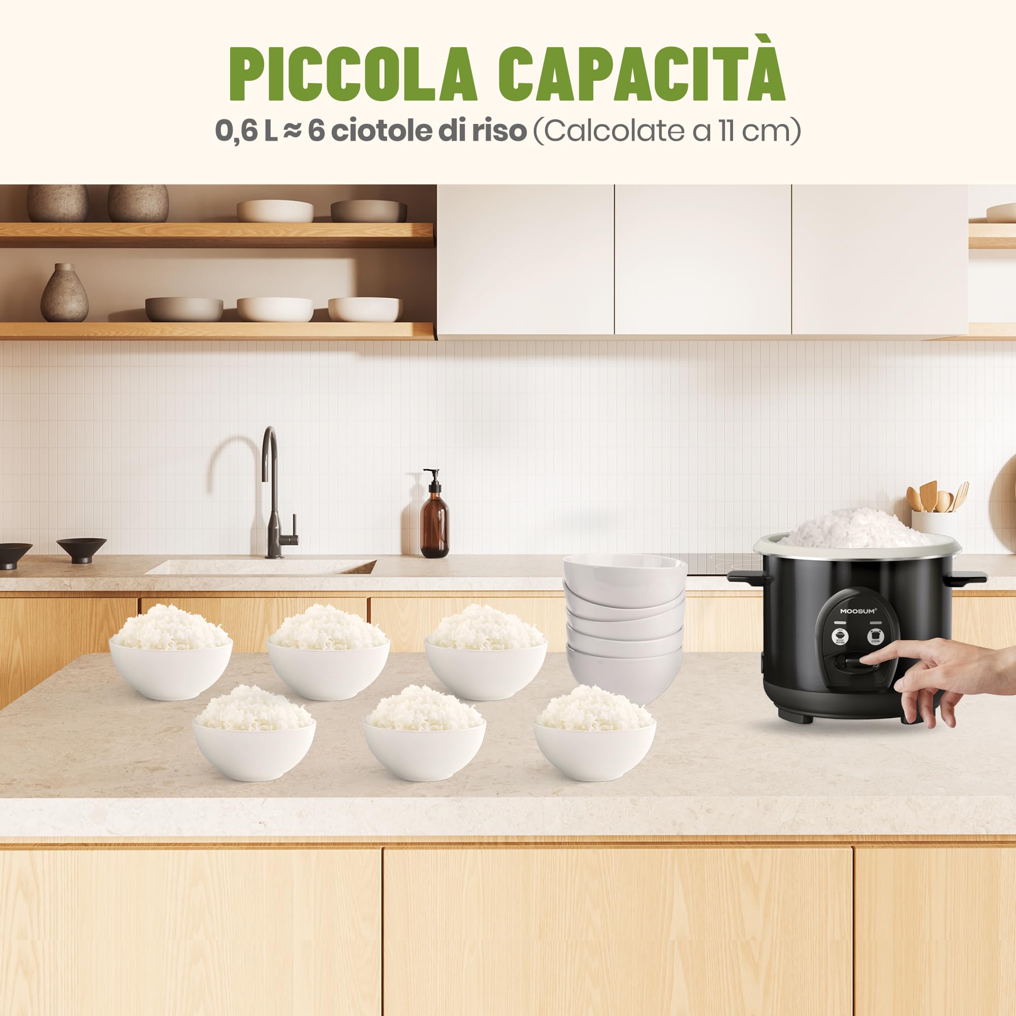 Cuociriso & Comando a un Pulsante, 0,6L per 1-3 Persone, Preparazione Veloce Senza Bruciature - con Funzione di Mantenimento in Caldo, Ferrosoc