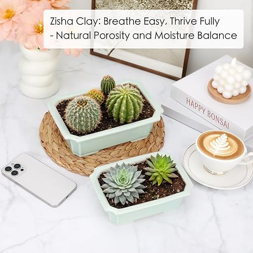 Miniatura 7 de Zisha - Juego de 2 macetas de arcilla blanca para bonsái esmaltadas poco profundas, color verde claro