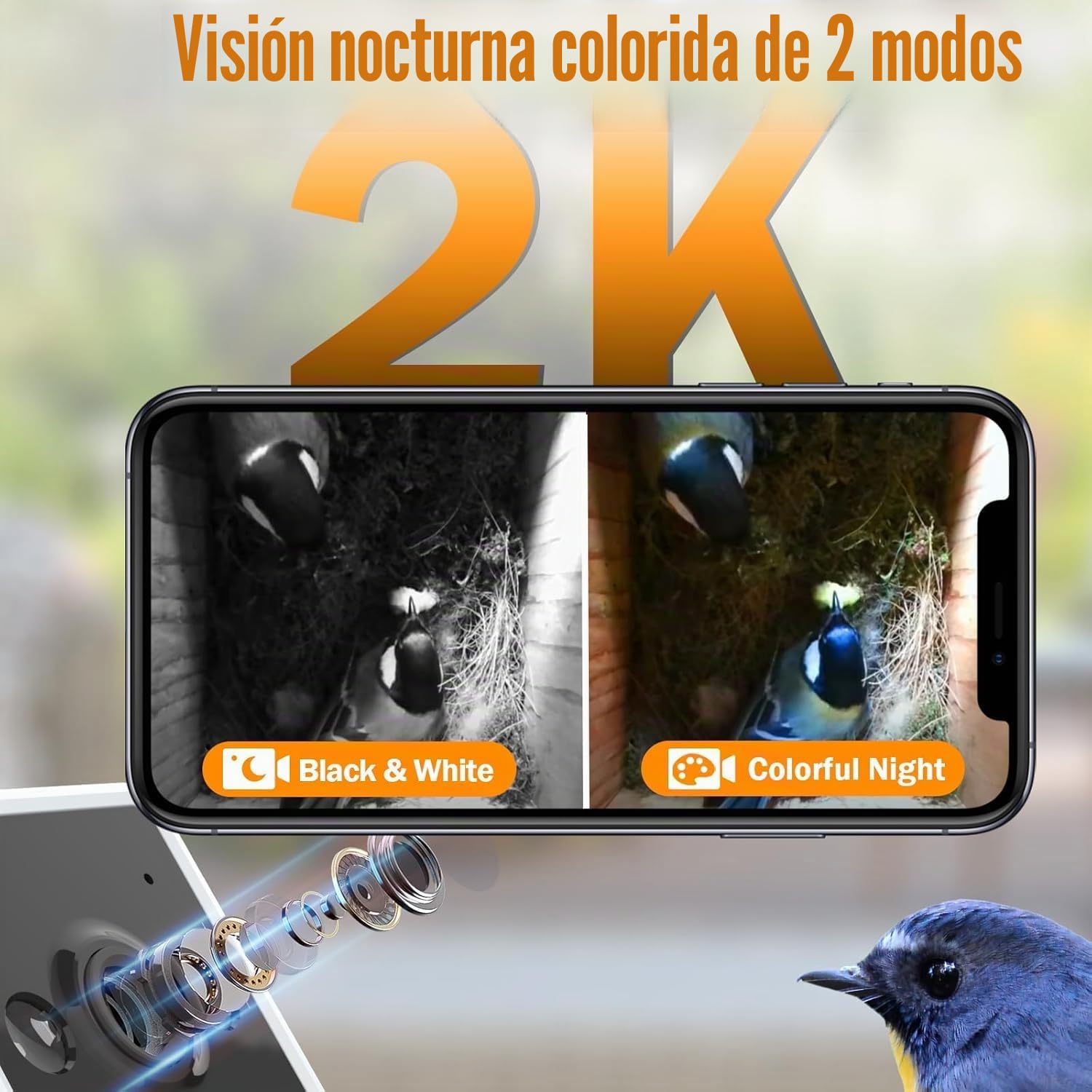 Casas para Pájaros con Cámara HD de 4MP, Caja de Pájaros Resistente a la Intemperie, WiFi de 2.4G y Notificación por Aplicación, Observa el Anidamiento y la Eclosión, Grabación Automática de Videos, A