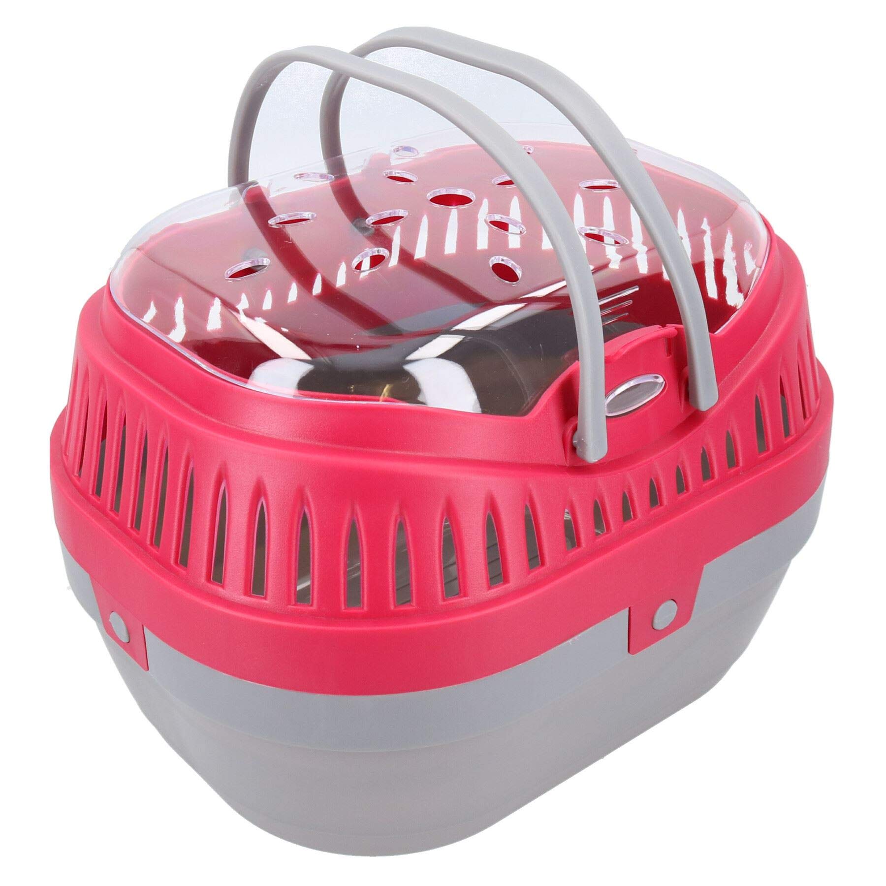 Cochon d'inde pod de transport rouge spacieux pour rat et degus
