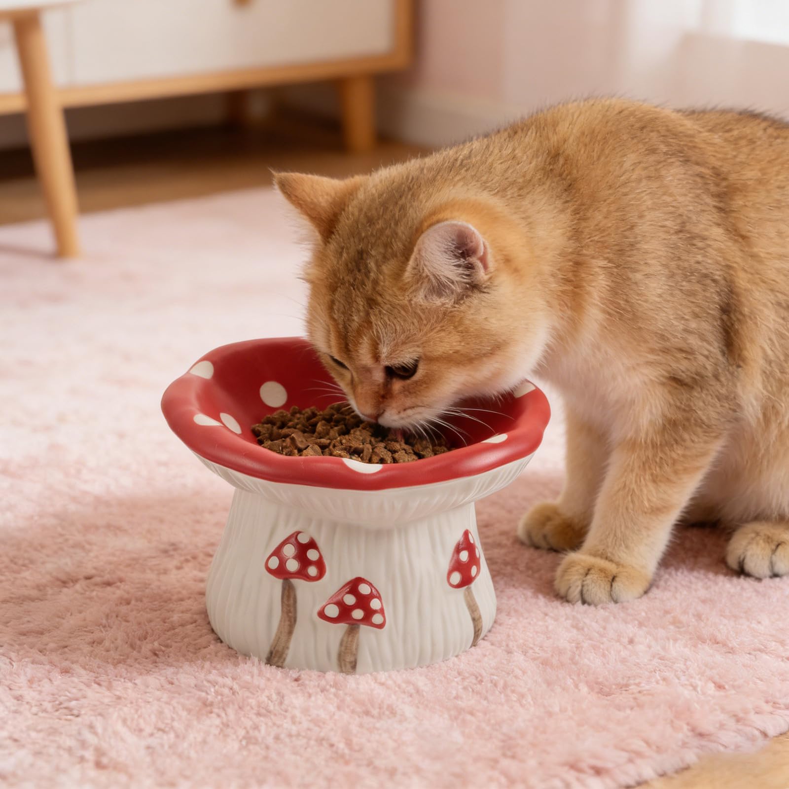 Gamelle Anti-vomissements en céramique pour Chat : Gamelle surélevée en Forme de Champignon - Bol Peu Profond pour Chatons et Petits Chiens