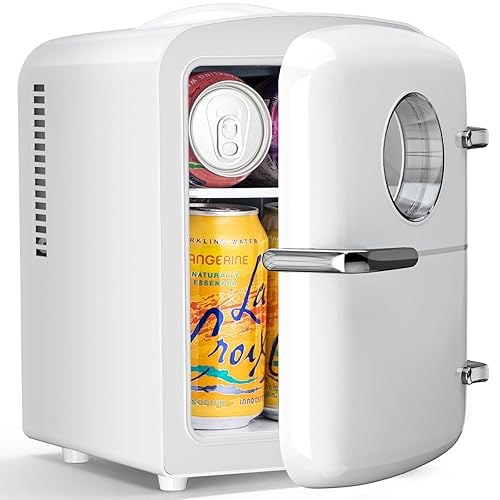Mini Fridge, 4L Capacity/6 Cans Portable Cooler and Warmer Compact