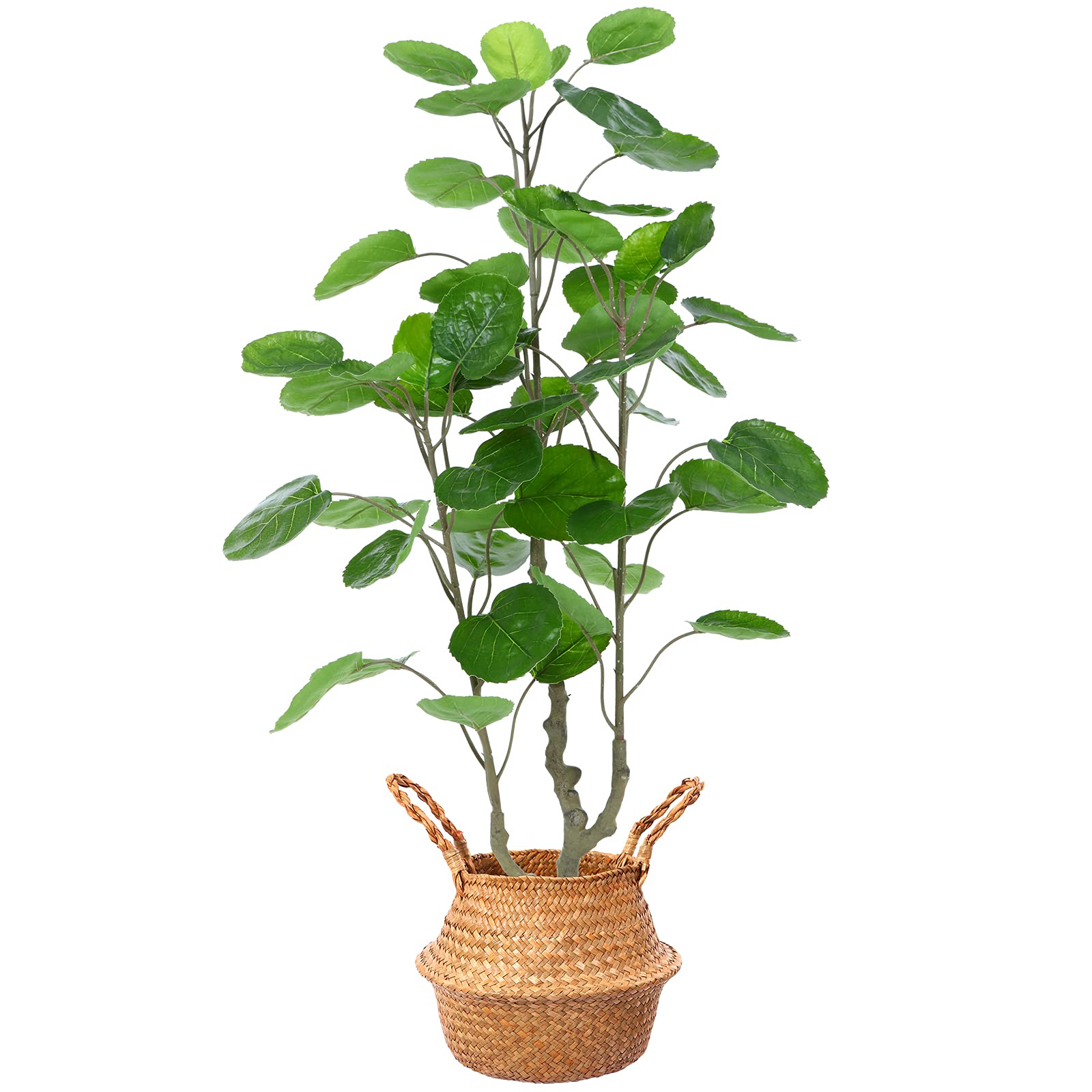 Buy Kazeila Artificial Aralia Balfour Tree,Fake Greenery