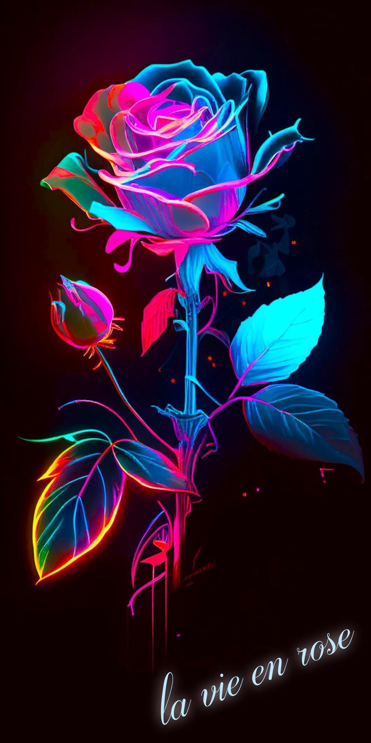 Amazon.co.jp: 【Lサイズ】ラビアンローズ バラ ばら 薔薇 ROSE 花 