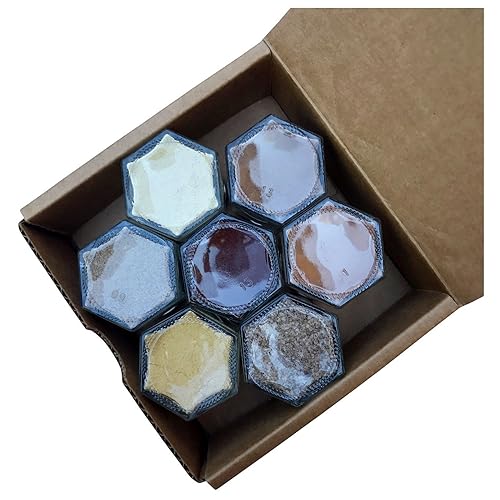 Gneiss Spice Kit de galletas Siete condimentos orgánicos dulces y picantes en pequeños tarros magnéticos Juego de regalo en caja (7 tarros, tapas
