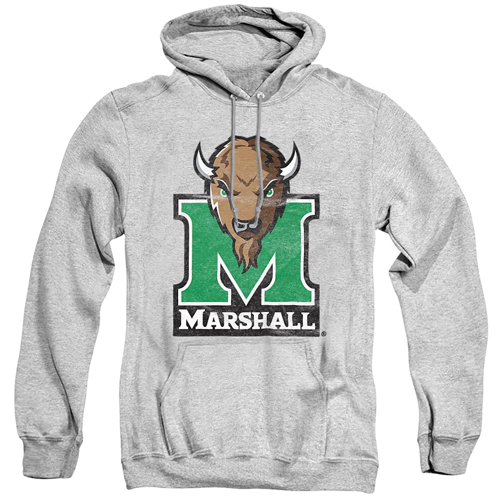 LOGOVISION Official Collegiate Distressed Primary Logo Adult Pullover Hoodie Collection — view 499