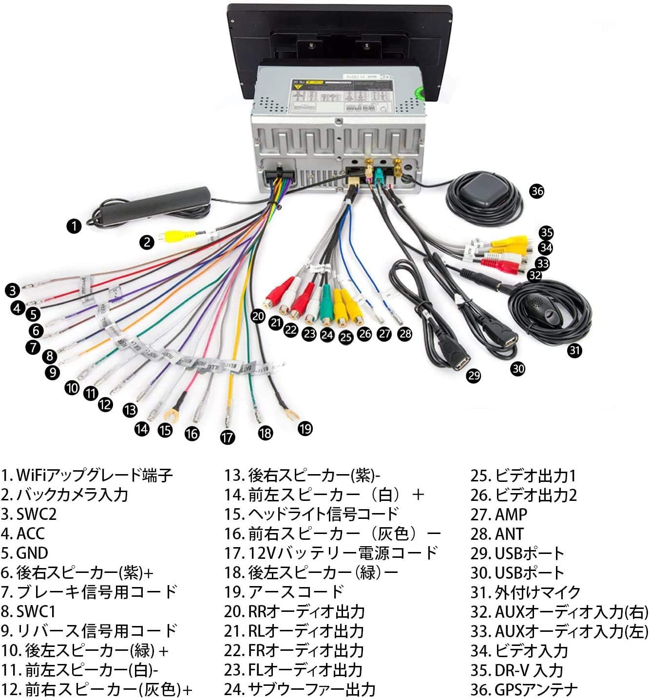 RCA full screen sharing and optional digital TV tuner connection