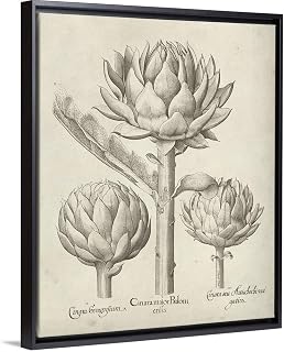Fresco Artichoke II Black Float Frame Canvas Art, Artichoke Artwork