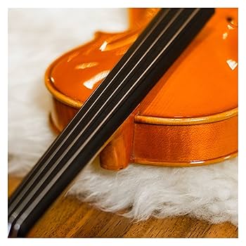 Amazon.co.jp: 4/4トウヒの手芸ビオリン初心者、学生、大人に