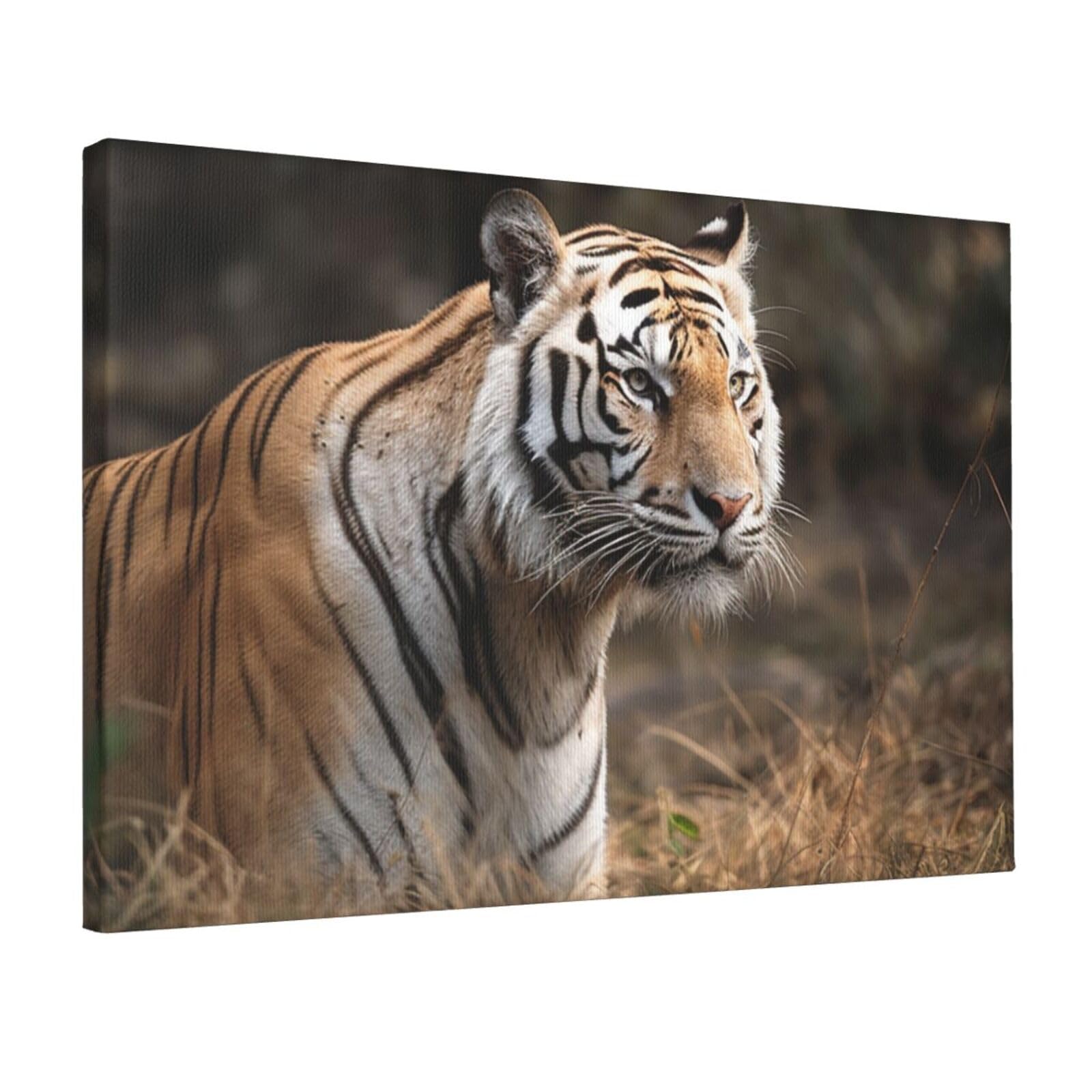 Canvas Wall Art for Living Room Wall Decor 12"x18" Modern Artwork Painting Pictures Hanging Canvas Prints Wildlife tiger Aesthetic Wall Art for Bedroom Bathroom Office Wallart Decor