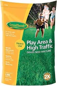 Barenbrug 531507 GT 3 lb. Hi Traffic Seed