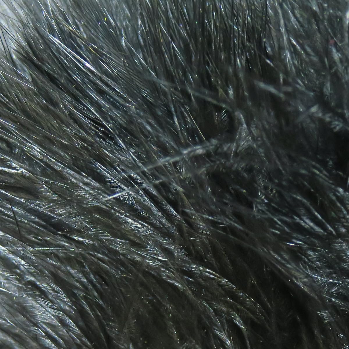 Hareline Fly Tying Marabou Blood Quills - Premium Long Marabou Feathers for Fly Tying Streamers, Leeches & Jigs