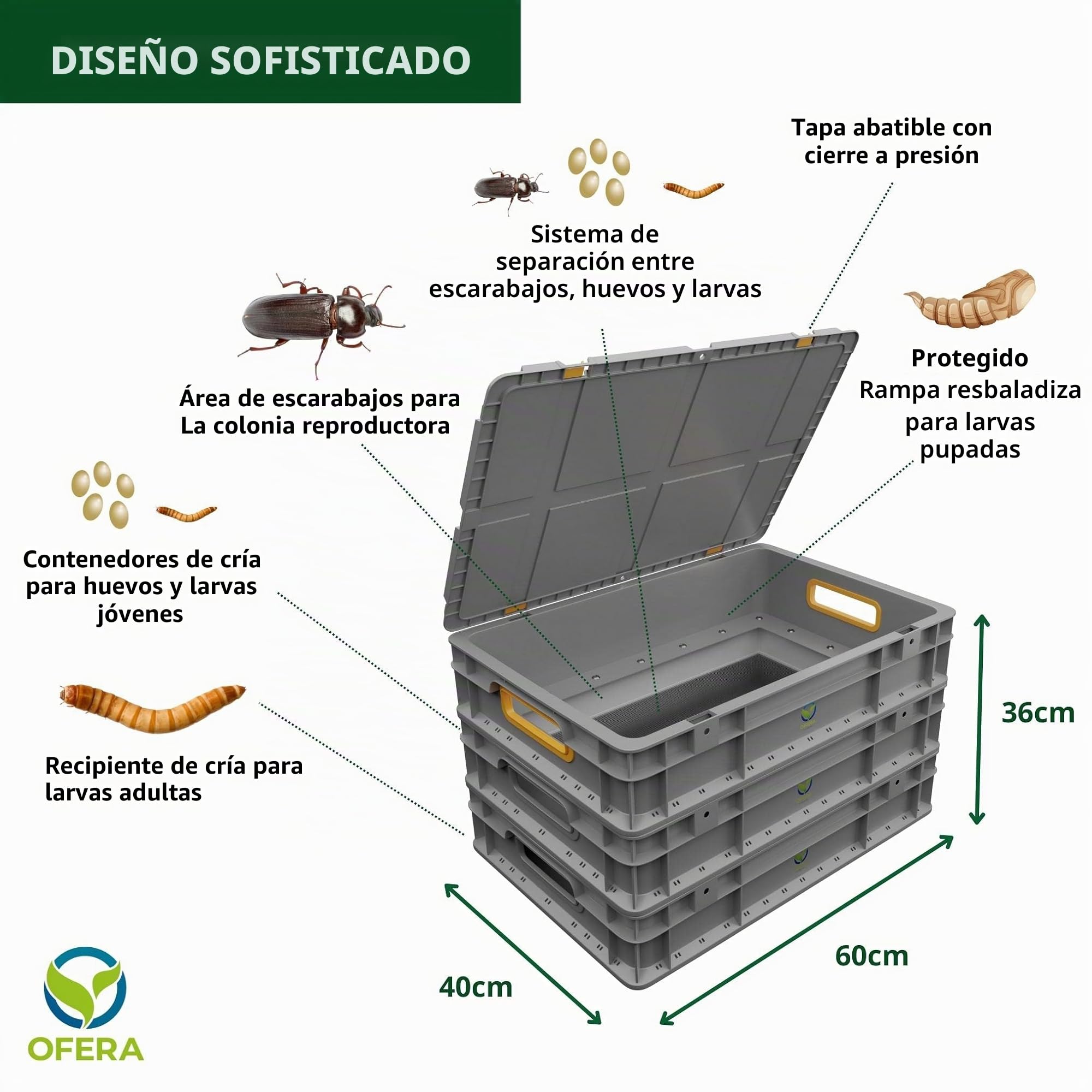 Mealworm Farm - Gusano de harina