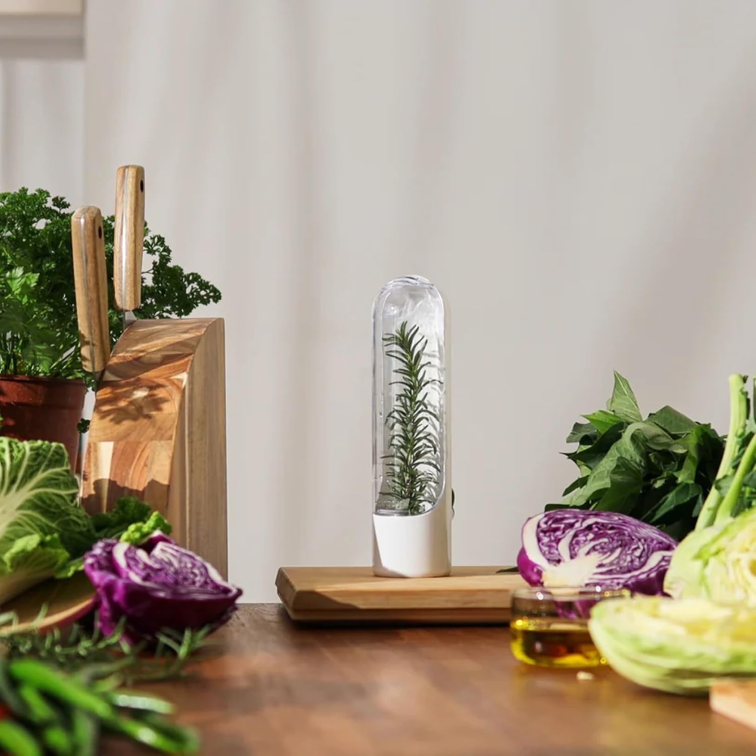 Prepara Herb Savor Pod 2.0 Herb Storage Container - Space Saving for Fridge Door Storage, Pouring Spout Keeps Fresh Herbs Fresh Up to 3 Weeks - BPA Free Plastic - Easy Access Opening (2-Pack)