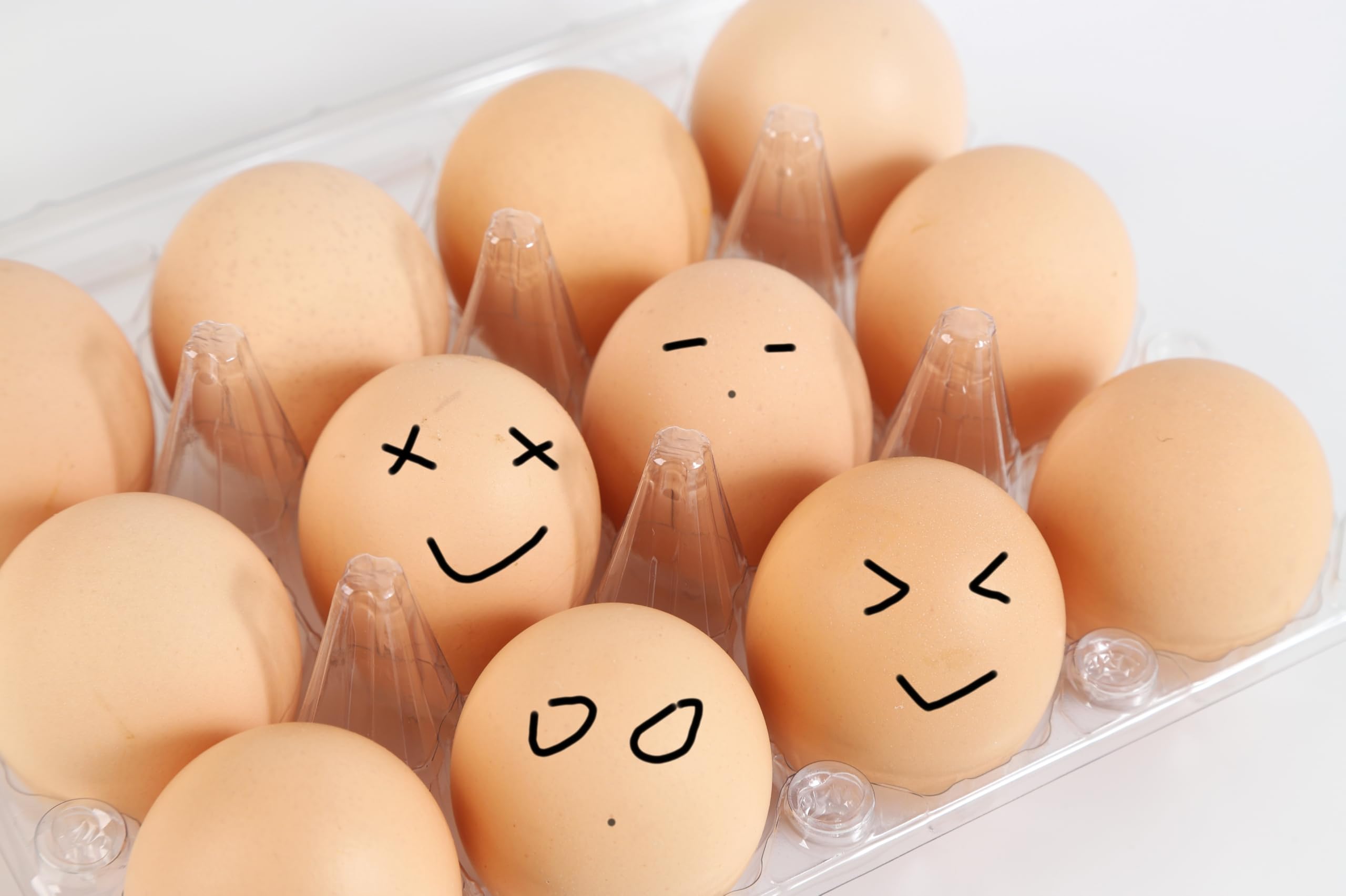 ZAGIWN Egg Cartons 60 Packs, Clear Plastic Egg Cartons Bulk Egg Cartons 12 Count, Reusable Egg Cartons Crates for Fresh Eggs, Storage, Family, Chicken Farm & DIY Gifts