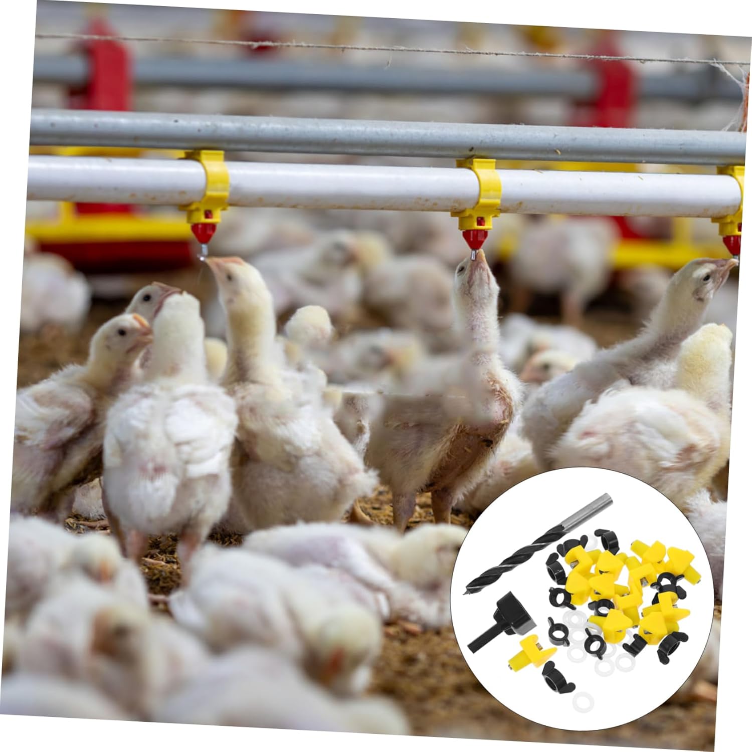 VANZACK 4sets Automatic Chicken Waterer Kit Drinking Nipples Easy to Install Poultry Water Supply System for Chickens and Quails Keeps Coop Clean and Provides Continuous Fresh Water