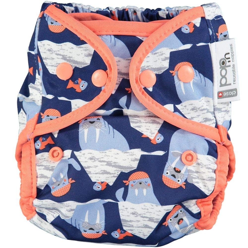 Walrus Pop-in V2 bambù bottoni