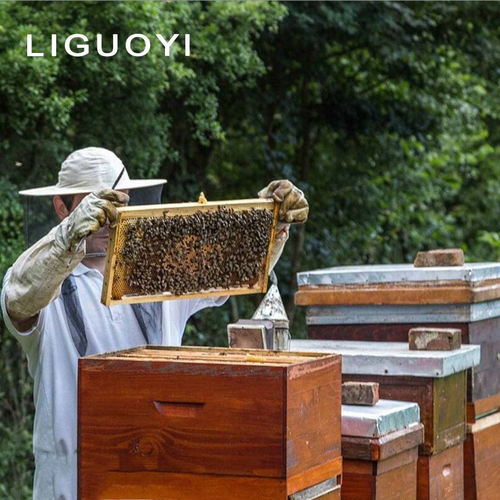 養蜂箱 蜂蜜 フローハイブ Amazon.co.jp: ミツバチ ミツバチ養殖 巣箱 フローハイブ養蜂セット 大