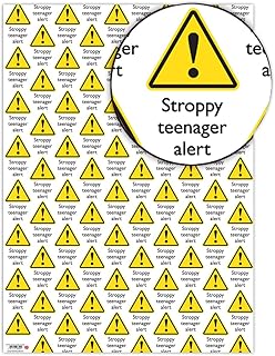 Brainbox Candy - Funny 'Stroppy Teenager' Wrapping Paper - WARNING - Age 13 - Thirteenth Birthday - Gift Wrap For Son Daughter Niece Nephew - Folded Quality Wrap