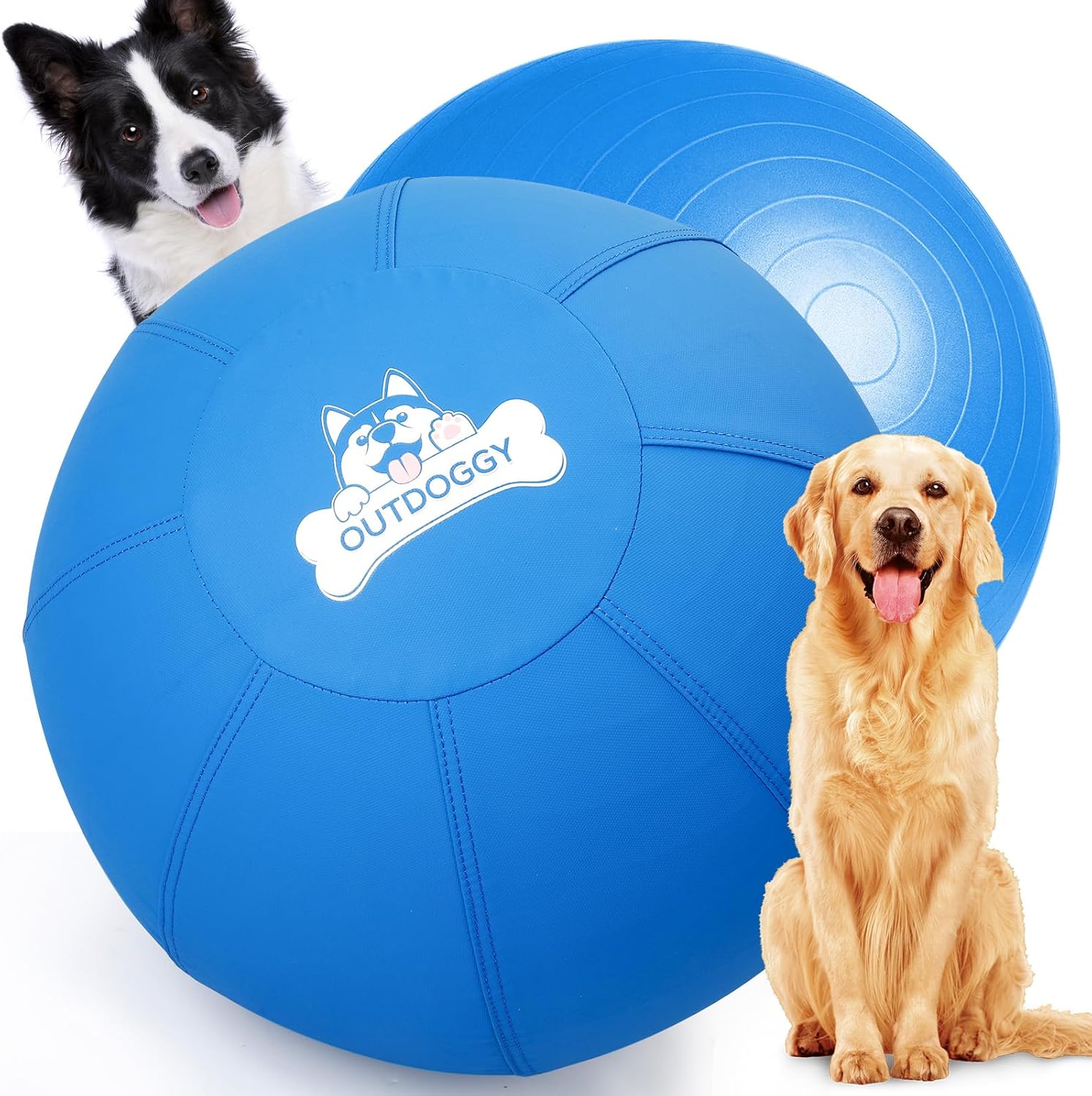 Herding ball for dogs review - 18-inch blue dual-layer herding ball on grass