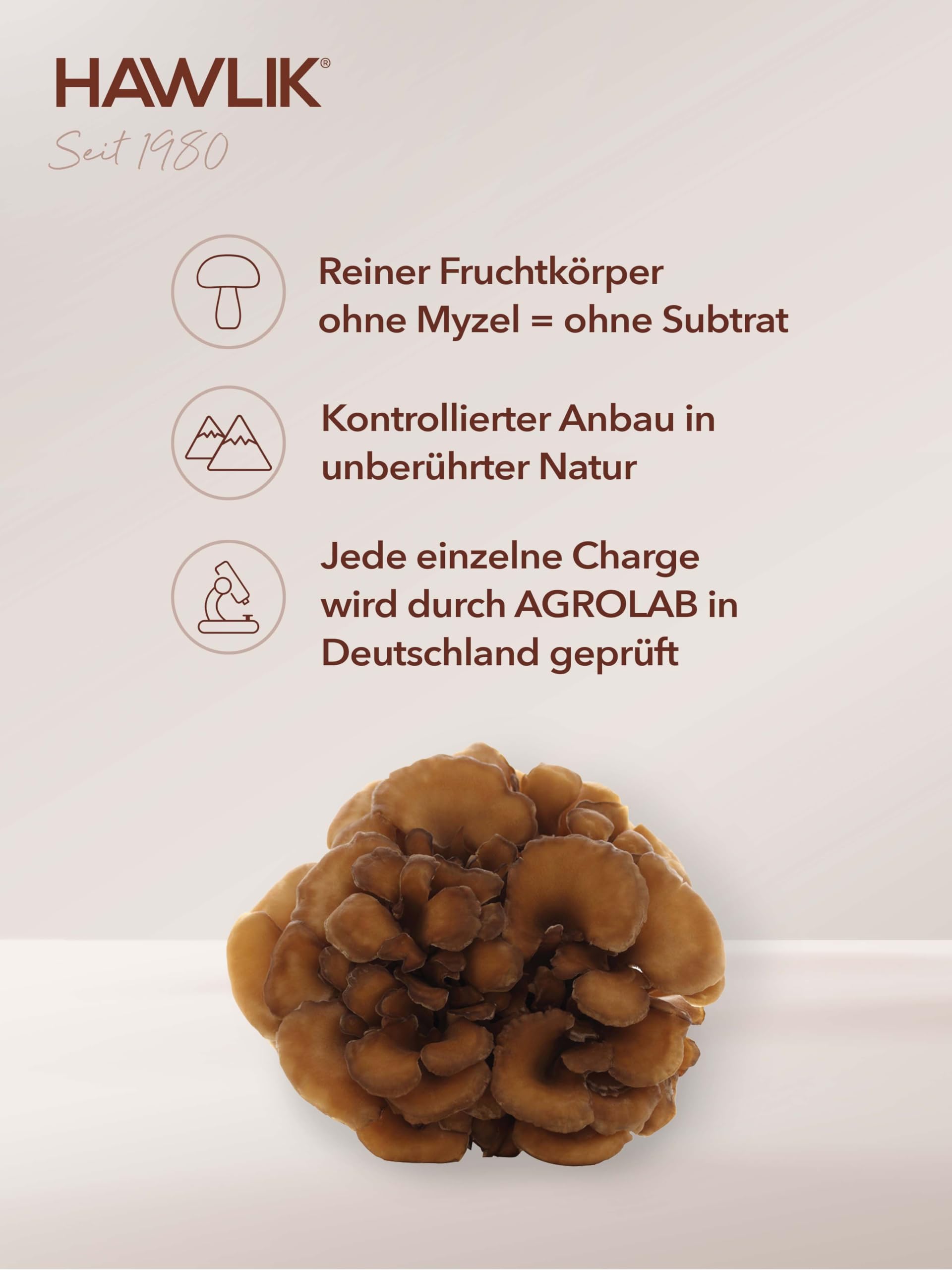 HAWLIK Vitalpilze Bio Maitake Extrakt + Pulver Kapseln - 120 Kapseln im Blister - Mit Vitamin C - Extrakt & Pulver - Natürlicher Anbau - Vegan