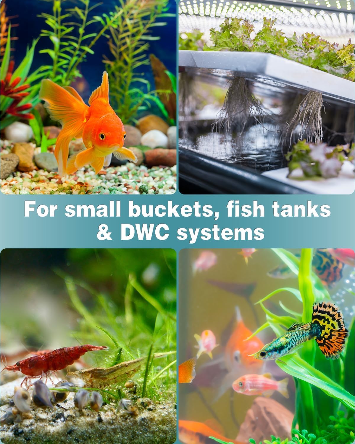 ONELINK MALL Aquarium air Stone, Size: (1.5 Inch), Aquarium Cylinder Bubble Air Stone (Color May Vary) (Color May Vary) Pack of 12 3