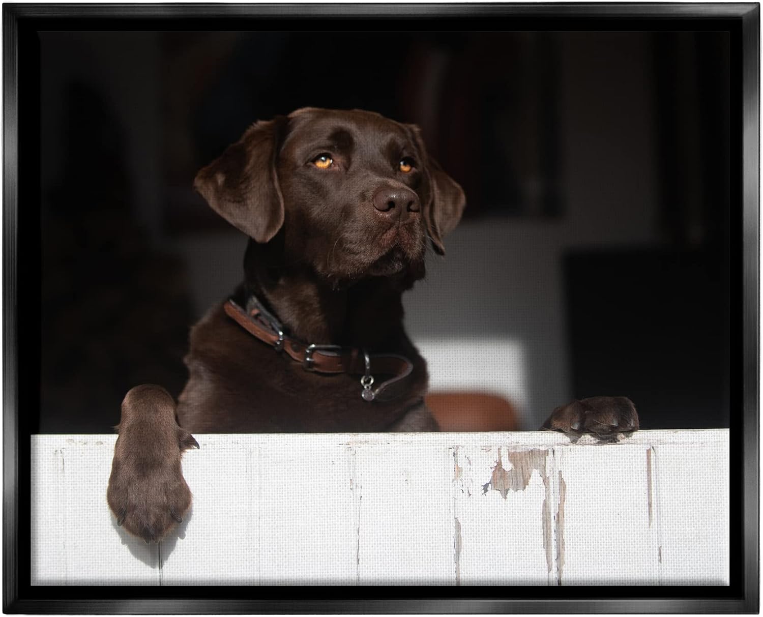 Stupell Industries Labrador Dog Overlooking Farm Leaning Barn Door Canvas Wall Art, Design By James Dobson