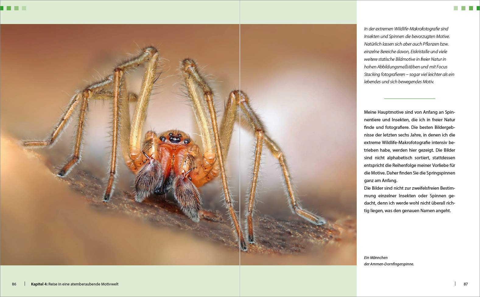 Extreme Wildlife-Makrofotografie: Für bessere Fotos von Anfang an!. Reise in eine atemberaubende Motivwelt von Insekten & Spinnen. Aufnahmetechnik und ... Grenzen sprengen mit enormer Vergrößerung