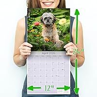 Vista 125 de Razas de Perros 2017